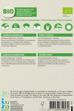 Intratuin Grünkohl (Brassica oleracea 'Westlandse Winter') (BIO) Samen| Gemüsesamen|Saatgut