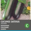 Intratuin Gurke (Cucumis sativus 'Johanna') Samen| Gemüsesamen|Saatgut