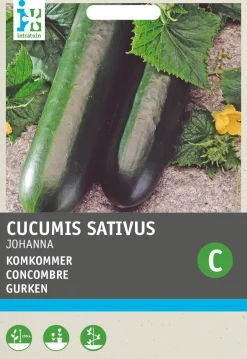 Intratuin Gurke (Cucumis sativus 'Johanna') Samen| Gemüsesamen|Saatgut