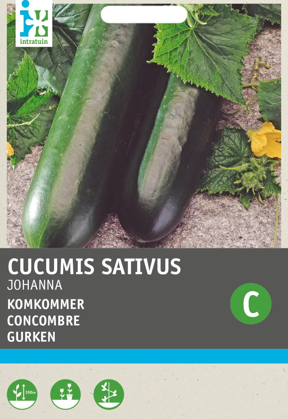 Intratuin Gurke (Cucumis sativus 'Johanna') Samen| Gemüsesamen|Saatgut