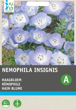 Intratuin Hainblume himmelblau (Nemophila insignis) Blumensamen| Saatgut|Blühende Pflanzen
