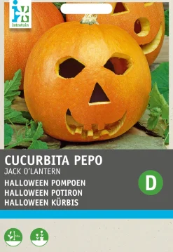 Intratuin Halloween Kürbis (Cucurbita pepo 'Jack O'Lantern') Samen| Gemüsesamen|Saatgut