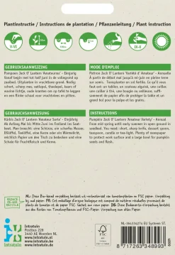 Intratuin Halloween Kürbis (Cucurbita pepo 'Jack O'Lantern') Samen| Gemüsesamen|Saatgut