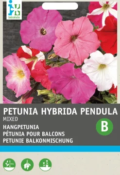 Intratuin Hängepetunie (Petunia Hybrida Pendula) Blumensamen-Mischung| Saatgut|Blühende Pflanzen