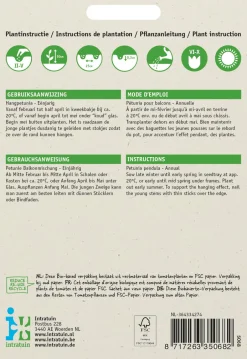 Intratuin Hängepetunie (Petunia Hybrida Pendula) Blumensamen-Mischung| Saatgut|Blühende Pflanzen