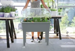 Intratuin Hochbeet Anzuchtkasten grau 77 x 58 x 96,3 cm| Anzuchtkästen & Mini-Gewächshäuser