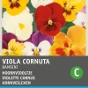 Intratuin Hornveilchen (Viola cornuta 'Bambini') Blumensamen-Mischung| Saatgut|Blühende Pflanzen