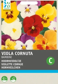 Intratuin Hornveilchen (Viola cornuta 'Bambini') Blumensamen-Mischung| Saatgut|Blühende Pflanzen