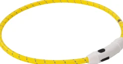 Intratuin Hundehalsband LED gelb 65 cm| Hundegeschirr & -Leinen