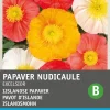Intratuin Islandmohn (Papaver nudicaule 'Excelsior') Blumensamen-Mischung| Saatgut|Blühende Pflanzen