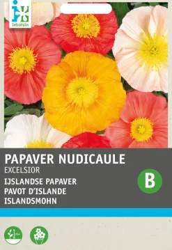 Intratuin Islandmohn (Papaver nudicaule 'Excelsior') Blumensamen-Mischung| Saatgut|Blühende Pflanzen