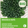 Intratuin Japanische Tatsoi (Brassica narinosa) (BIO) Samen| Gemüsesamen|Saatgut