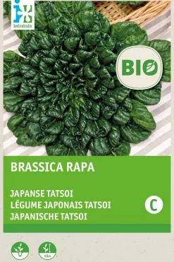 Intratuin Japanische Tatsoi (Brassica narinosa) (BIO) Samen| Gemüsesamen|Saatgut