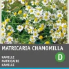 Intratuin Kamille (Matricaria chamomilla) Samen| Kräutersamen|Saatgut