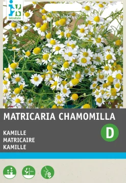 Intratuin Kamille (Matricaria chamomilla) Samen| Kräutersamen|Saatgut