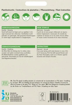 Intratuin Kamille (Matricaria chamomilla) Samen| Kräutersamen|Saatgut