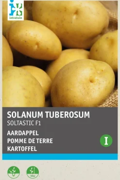 Intratuin Kartoffel (Solanum tuberosum 'Soltastic F1') (BIO) Samen| Gemüsesamen|Saatgut