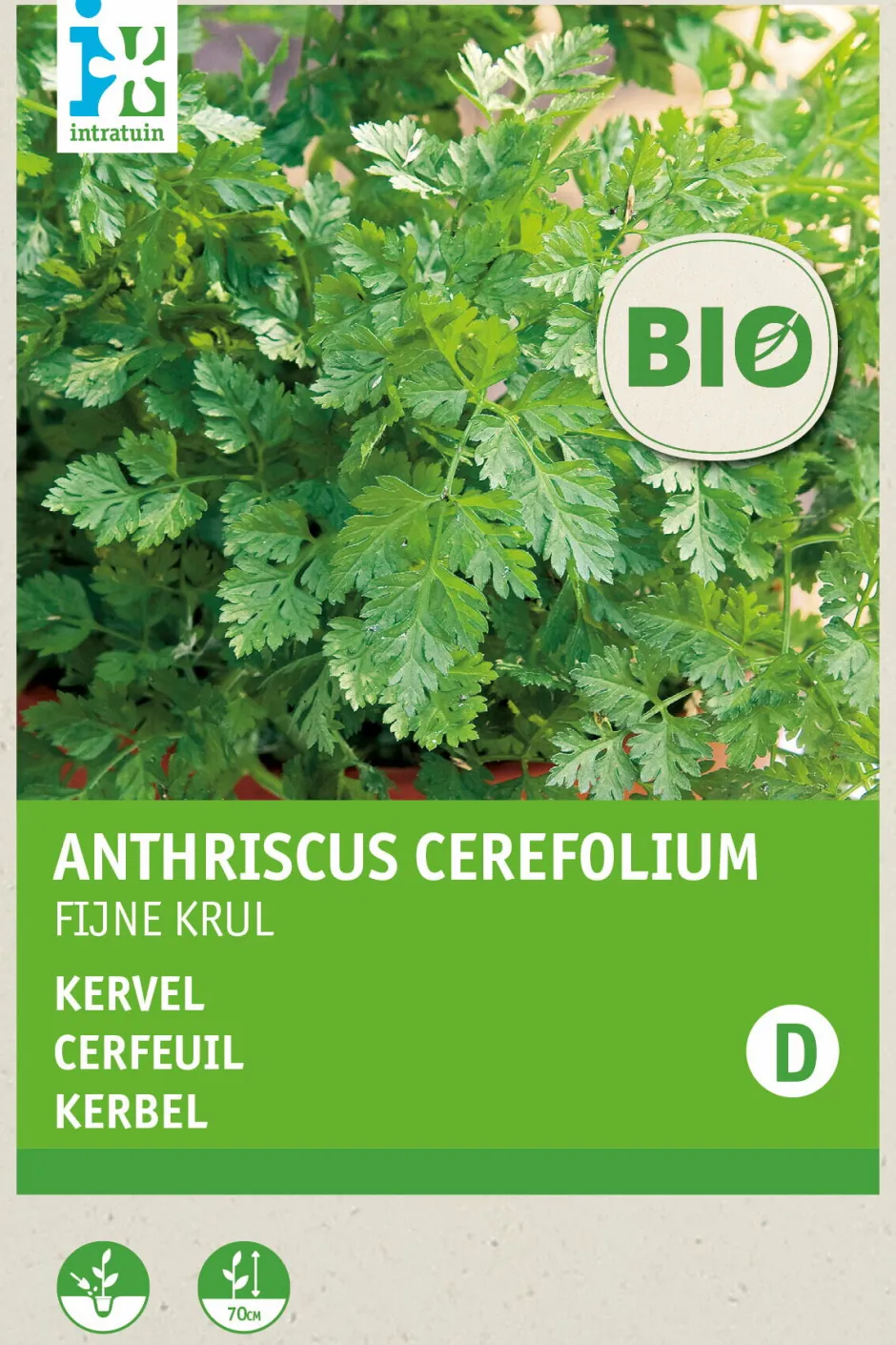 Intratuin Kerbel fein (Anthriscus cerefolium) (BIO) Samen| Kräutersamen|Saatgut