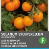 Intratuin Kirschtomate gelb (Solanum lycopersicum 'Gourmandise') Samen| Gemüsesamen|Saatgut