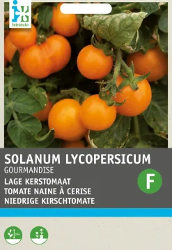 Intratuin Kirschtomate gelb (Solanum lycopersicum 'Gourmandise') Samen| Gemüsesamen|Saatgut