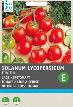 Intratuin Kirschtomate (Solanum lycopersicum 'Tiny Tim') Samen| Gemüsesamen|Saatgut