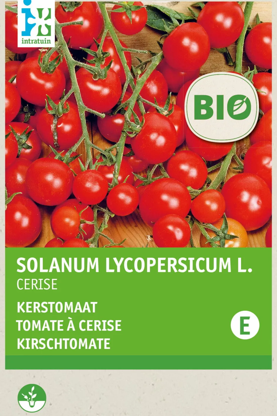 Intratuin Kirschtomate (Solanum lycopersicum 'Cerise') (BIO) Samen| Gemüsesamen|Saatgut