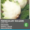 Intratuin Knollenfenchel (Foeniculum vulgare 'Zefa Fino') Samen| Gemüsesamen|Saatgut