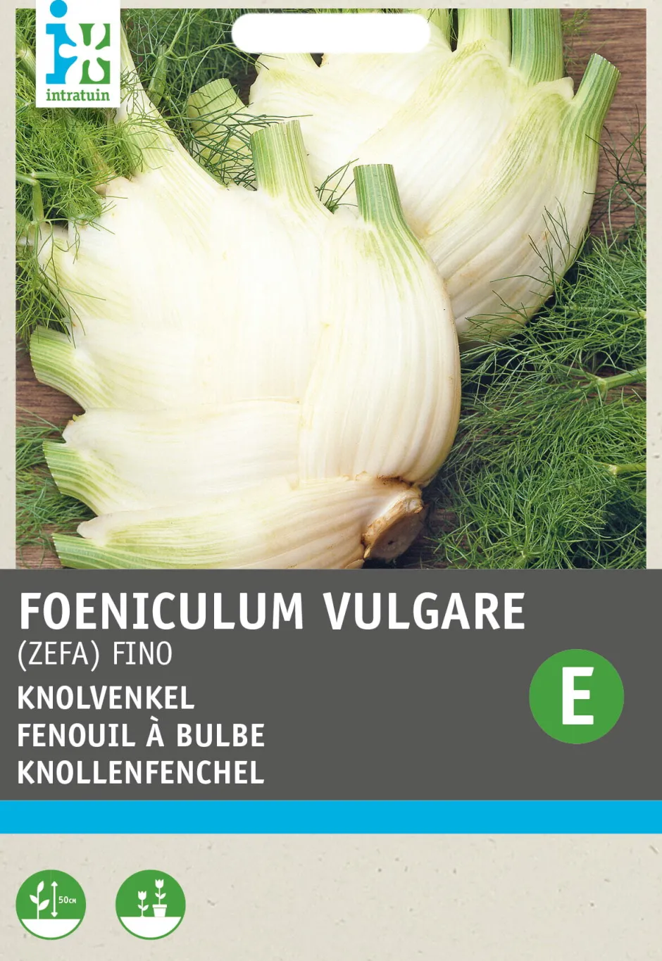 Intratuin Knollenfenchel (Foeniculum vulgare 'Zefa Fino') Samen| Gemüsesamen|Saatgut