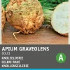 Intratuin Knollensellerie (Apium graveolens 'Dolvi Prager Riese') Samen| Gemüsesamen|Saatgut