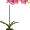 Intratuin Künstliche Orchidee (Phalaenopsis) fuchsia D 14 H 38 cm| Kunstpflanzen