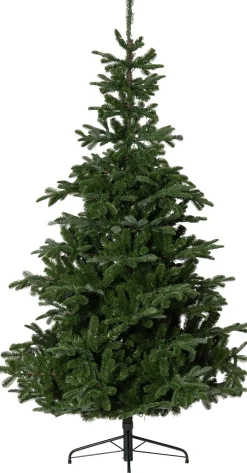 Intratuin Künstlicher Weihnachtsbaum Nordman grün D 130 H 210 cm mit 800 LEDs warmweiß| Künstliche Weihnachtsbäume