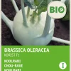 Intratuin Kohlrabi (Brassica oleracea 'Korist') (BIO) Samen| Gemüsesamen|Saatgut
