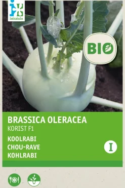 Intratuin Kohlrabi (Brassica oleracea 'Korist') (BIO) Samen| Gemüsesamen|Saatgut