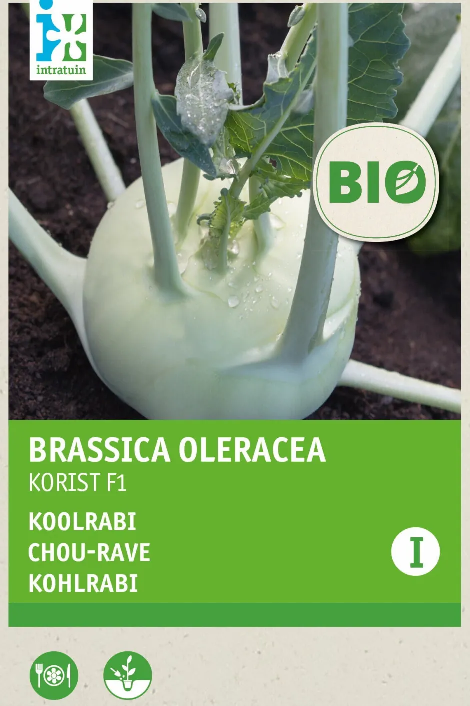 Intratuin Kohlrabi (Brassica oleracea 'Korist') (BIO) Samen| Gemüsesamen|Saatgut