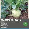 Intratuin Kohlrabi (Brassica oleracea 'Lanro') Samen| Gemüsesamen|Saatgut