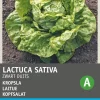 Intratuin Kopfsalat (Lactuca sativa 'Fürchtenichts') Samen| Gemüsesamen|Saatgut