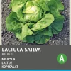 Intratuin Kopfsalat (Lactuca sativa 'Hilde') Samen| Gemüsesamen|Saatgut