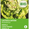 Intratuin Kopfsalat (Lactuca savita 'Maikönig') (BIO) Samen| Gemüsesamen|Saatgut