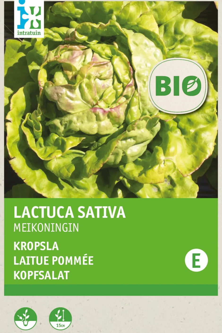 Intratuin Kopfsalat (Lactuca savita 'Maikönig') (BIO) Samen| Gemüsesamen|Saatgut