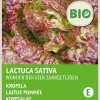 Intratuin Kopfsalat (Lactuca sativa 'Merveille des quatre saisons') (BIO) Samen| Gemüsesamen|Saatgut