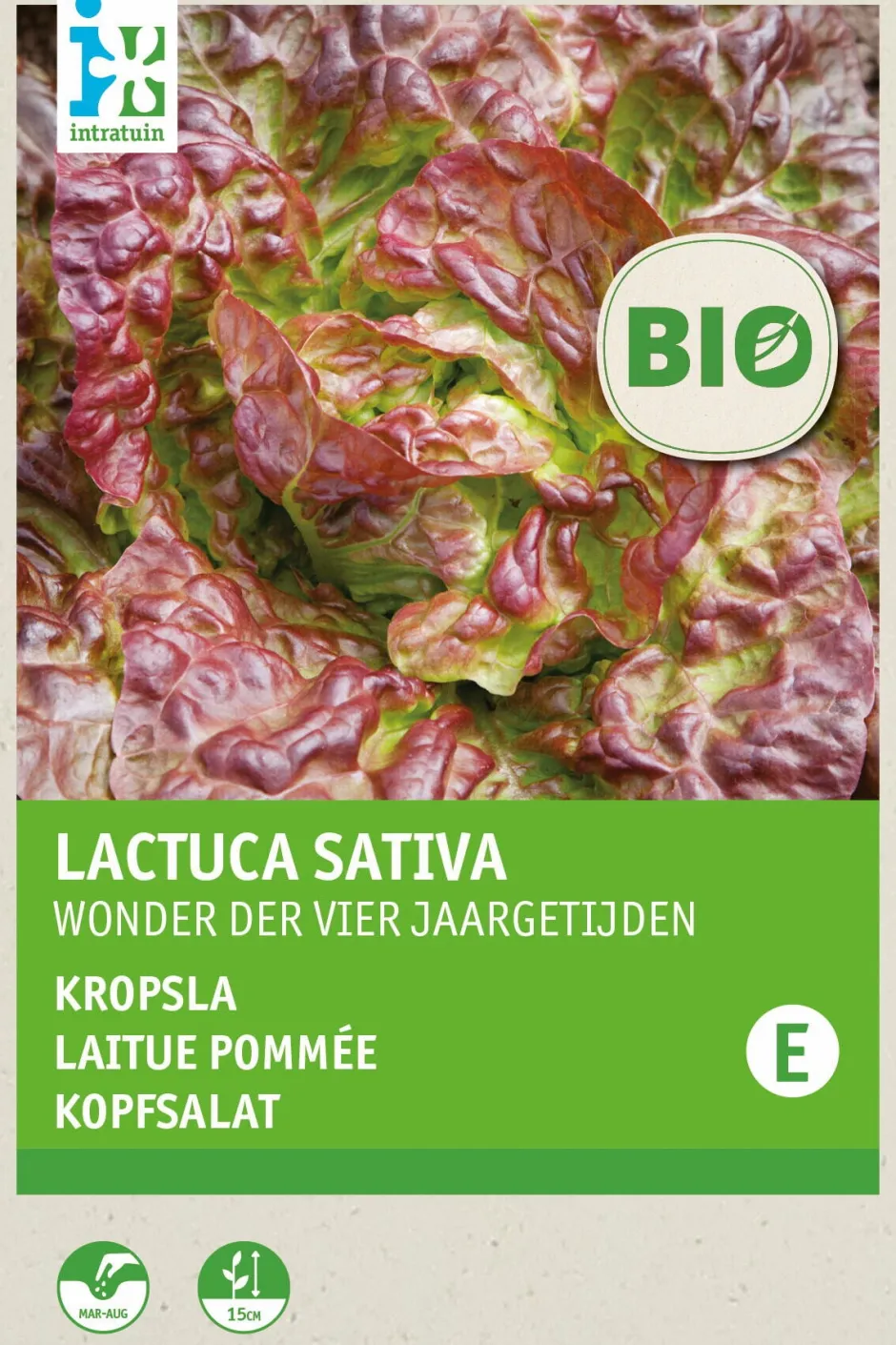 Intratuin Kopfsalat (Lactuca sativa 'Merveille des quatre saisons') (BIO) Samen| Gemüsesamen|Saatgut