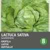 Intratuin Kopfsalat (Lactuca sativa 'Gärtnerstolz') Samen| Gemüsesamen|Saatgut