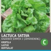 Intratuin Kopfsalat (Lactuca sativa 'Neckarriesen') Samen| Gemüsesamen|Saatgut