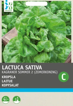 Intratuin Kopfsalat (Lactuca sativa 'Neckarriesen') Samen| Gemüsesamen|Saatgut