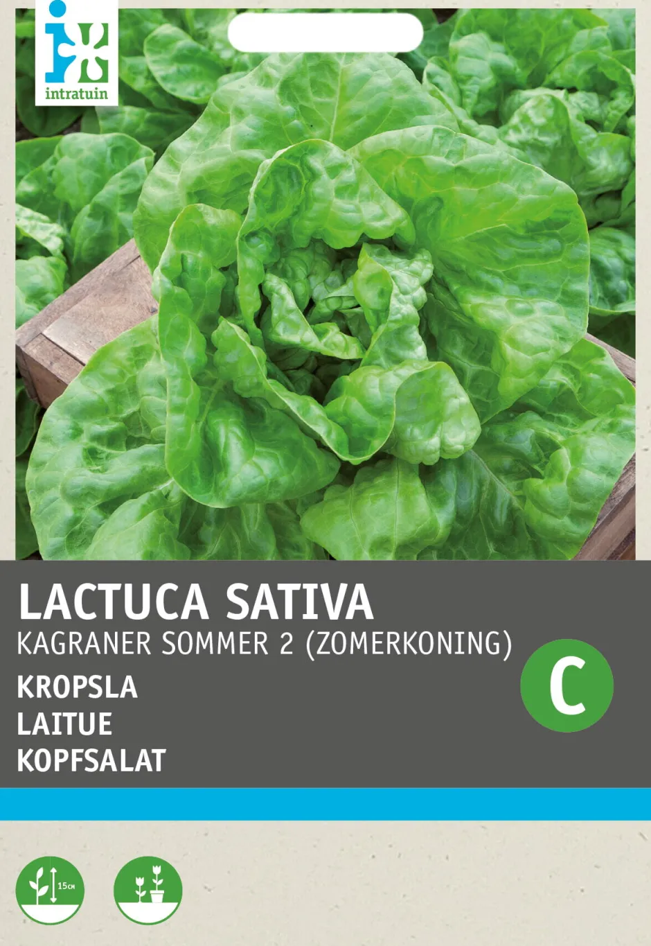 Intratuin Kopfsalat (Lactuca sativa 'Neckarriesen') Samen| Gemüsesamen|Saatgut