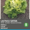 Intratuin Kopfsalat (Lactuca sativa 'Große Blonde Paresseuse') Samen| Gemüsesamen|Saatgut