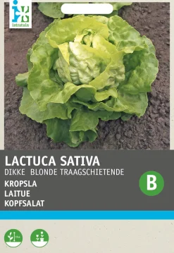 Intratuin Kopfsalat (Lactuca sativa 'Große Blonde Paresseuse') Samen| Gemüsesamen|Saatgut