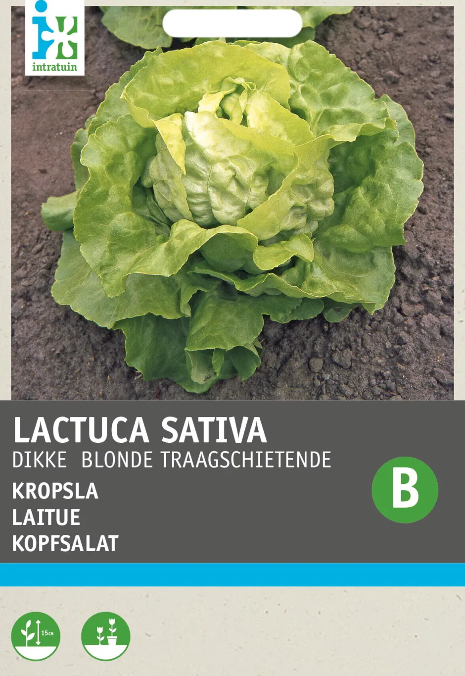 Intratuin Kopfsalat (Lactuca sativa 'Große Blonde Paresseuse') Samen| Gemüsesamen|Saatgut