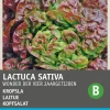 Intratuin Kopfsalat (Lactuca sativa 'Besson') Samen| Gemüsesamen|Saatgut