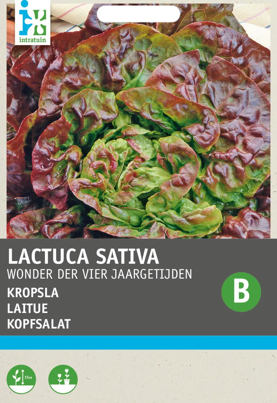 Intratuin Kopfsalat (Lactuca sativa 'Besson') Samen| Gemüsesamen|Saatgut